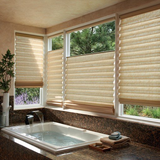 Pleated Shades